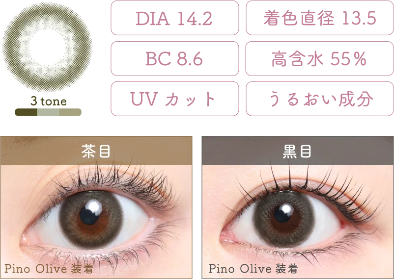 Pino Olive 着画＆スペック