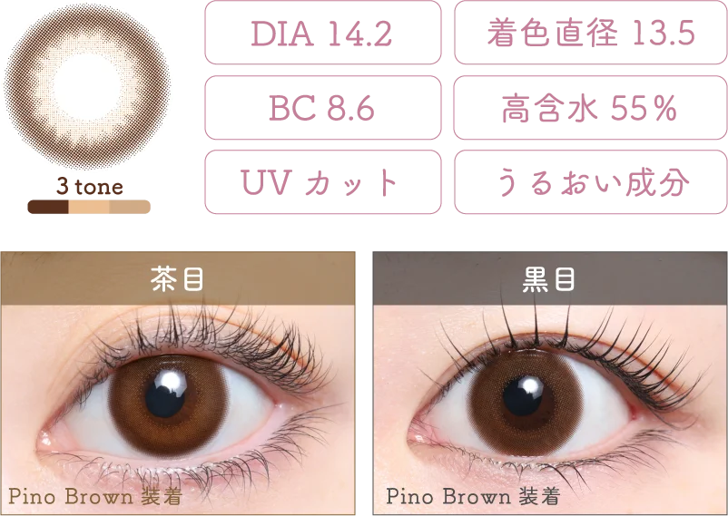 Pino Brown 着画＆スペック