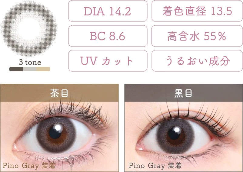 Pino Gray 着画＆スペック