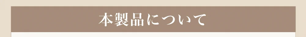 本製品について