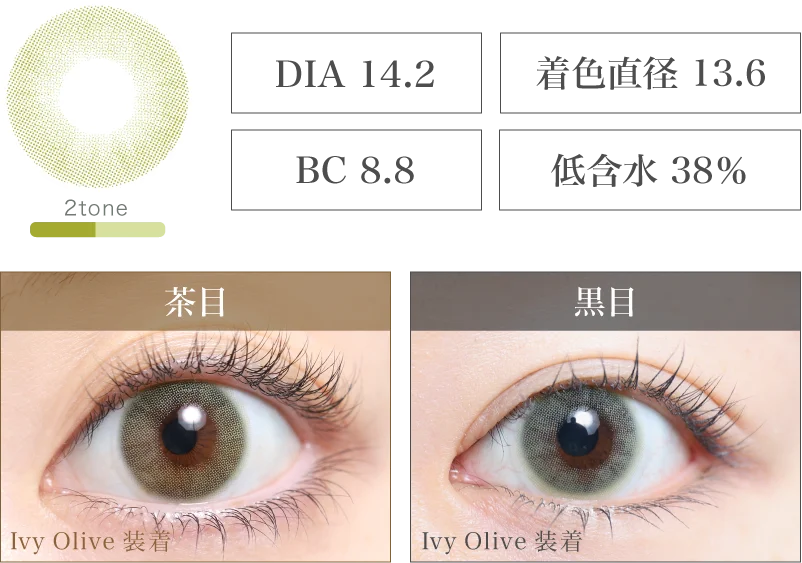 Ivy Olive 着画＆スペック