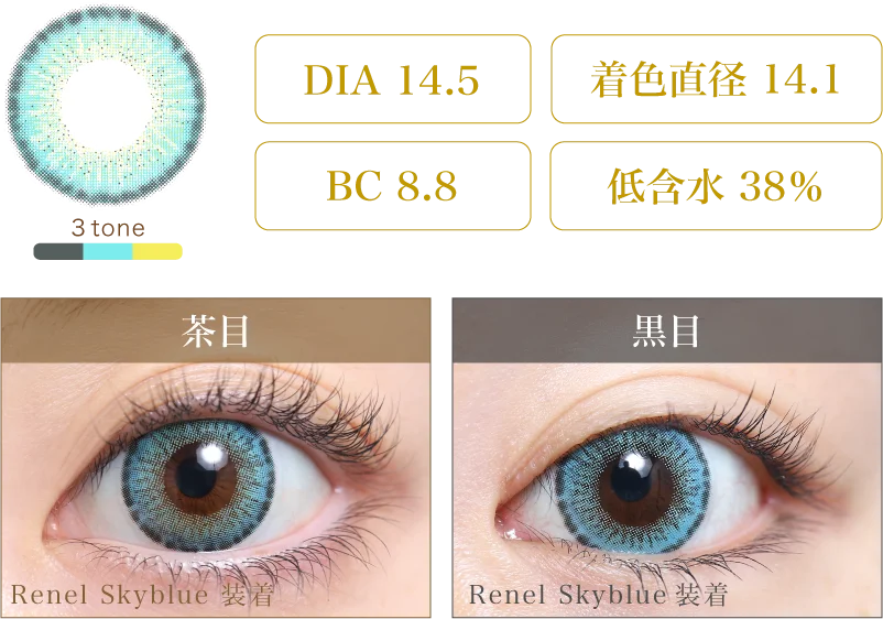 Renel Skyblue 着画＆スペック