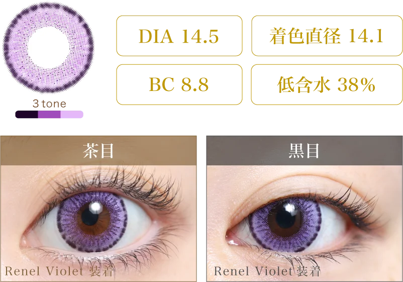 Renel Violet 着画＆スペック