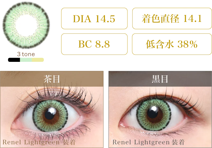 Renel Lightgreen 着画＆スペック