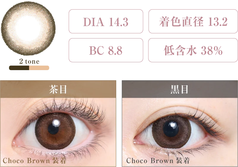 Choco Brown 着画＆スペック