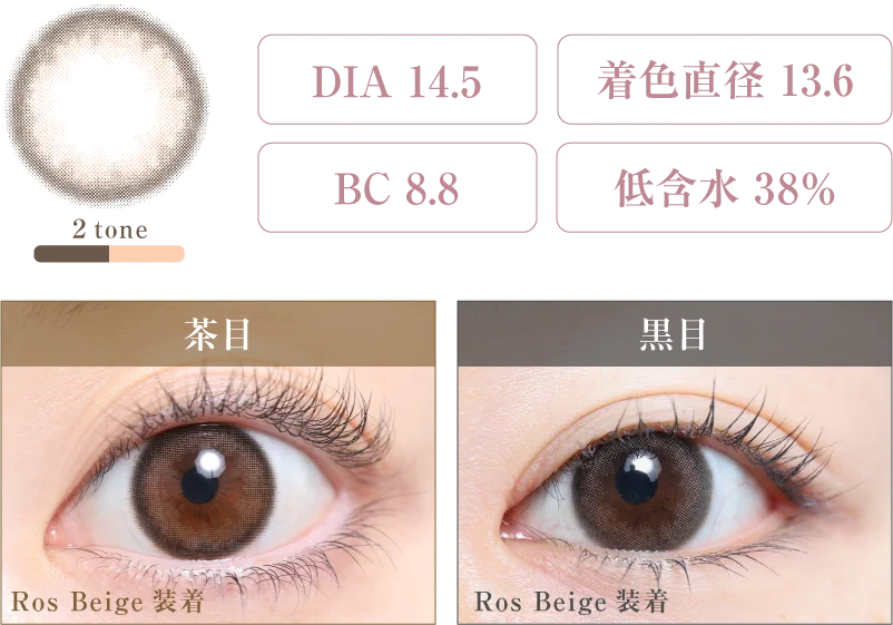 Ros Beige 着画＆スペック
