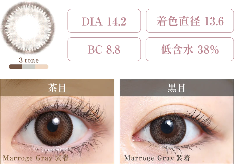 Marroge Gray 着画＆スペック