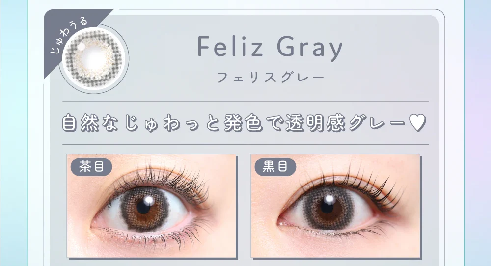 フェリスグレー着画