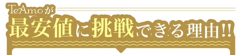 TeAmoが最安値に挑戦できる理由